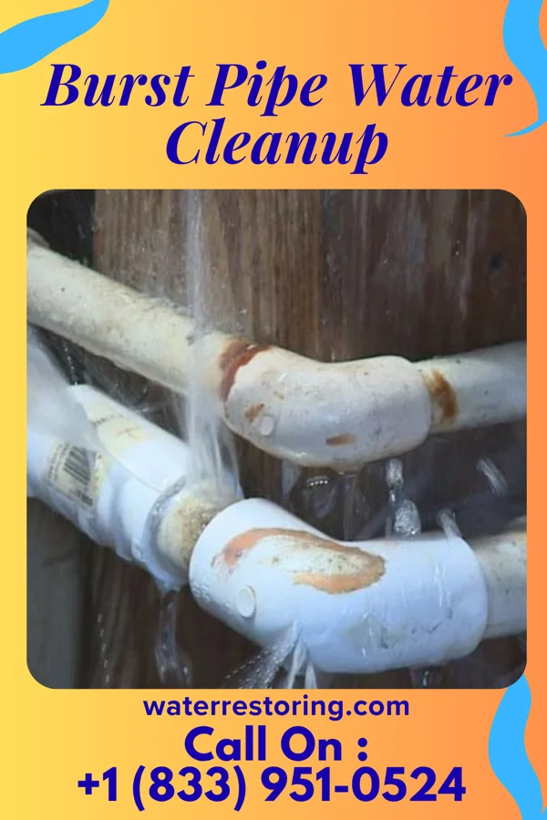 Burst Pipe Water Cleanup in Jesterville, MD