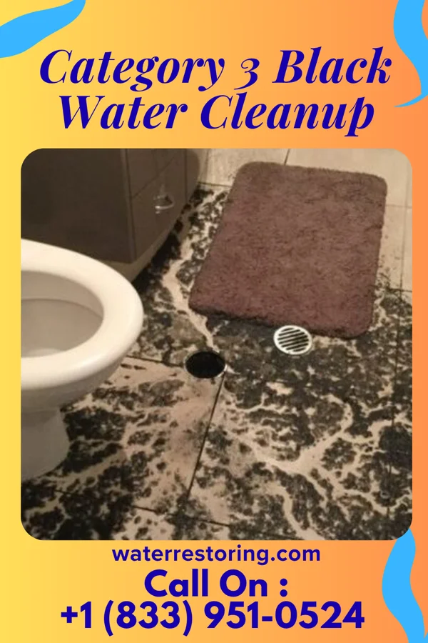 Category 3 Black Water Cleanup in Jesterville, MD