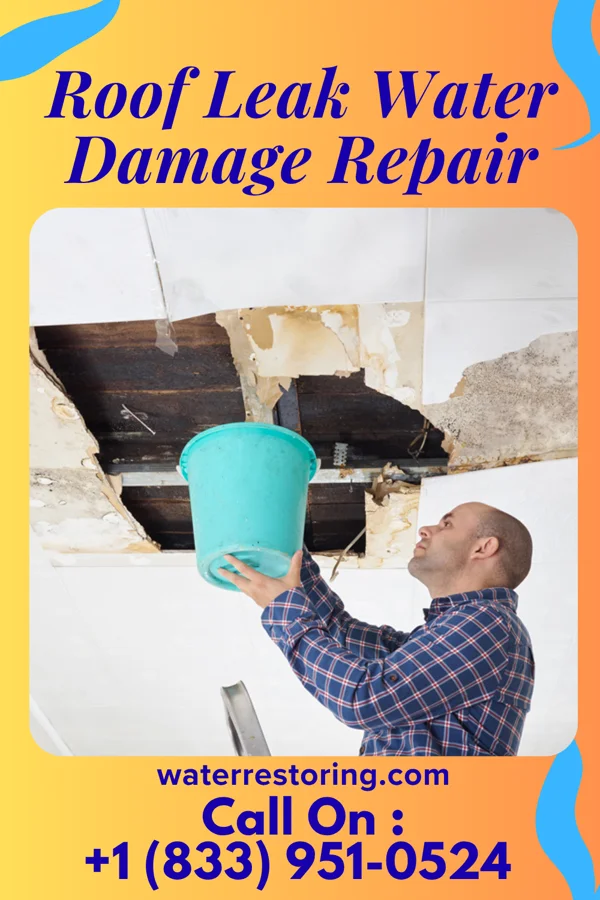 Roof Leak Water Damage Repair in Jesterville, MD