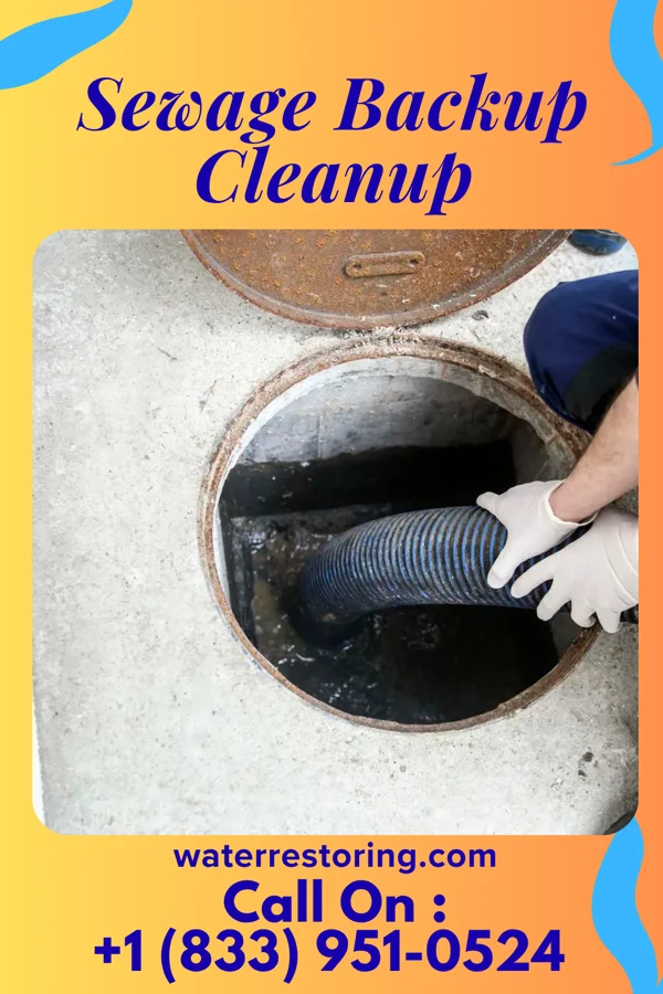 Sewage Backup Cleanup in Jesterville, MD