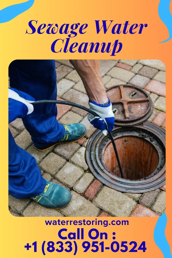 Sewage Water Cleanup in Jesterville, MD