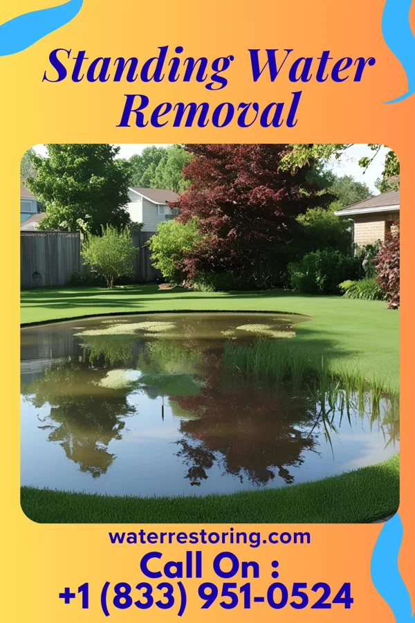 Standing Water Removal in Jesterville, MD